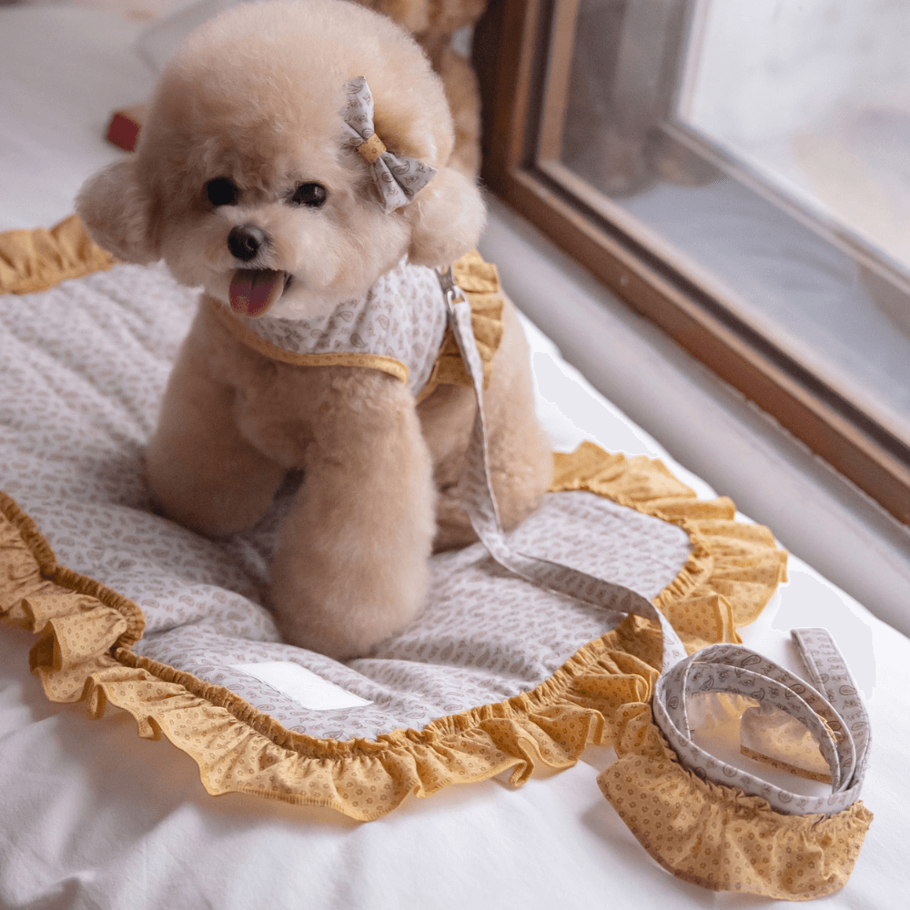 Flâneur Leash (Mustard)