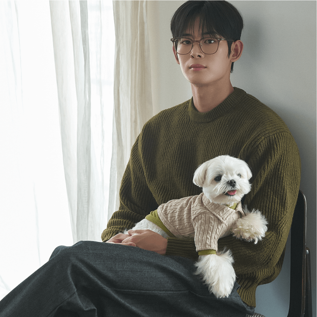 Soft Cable Pullover (2color)