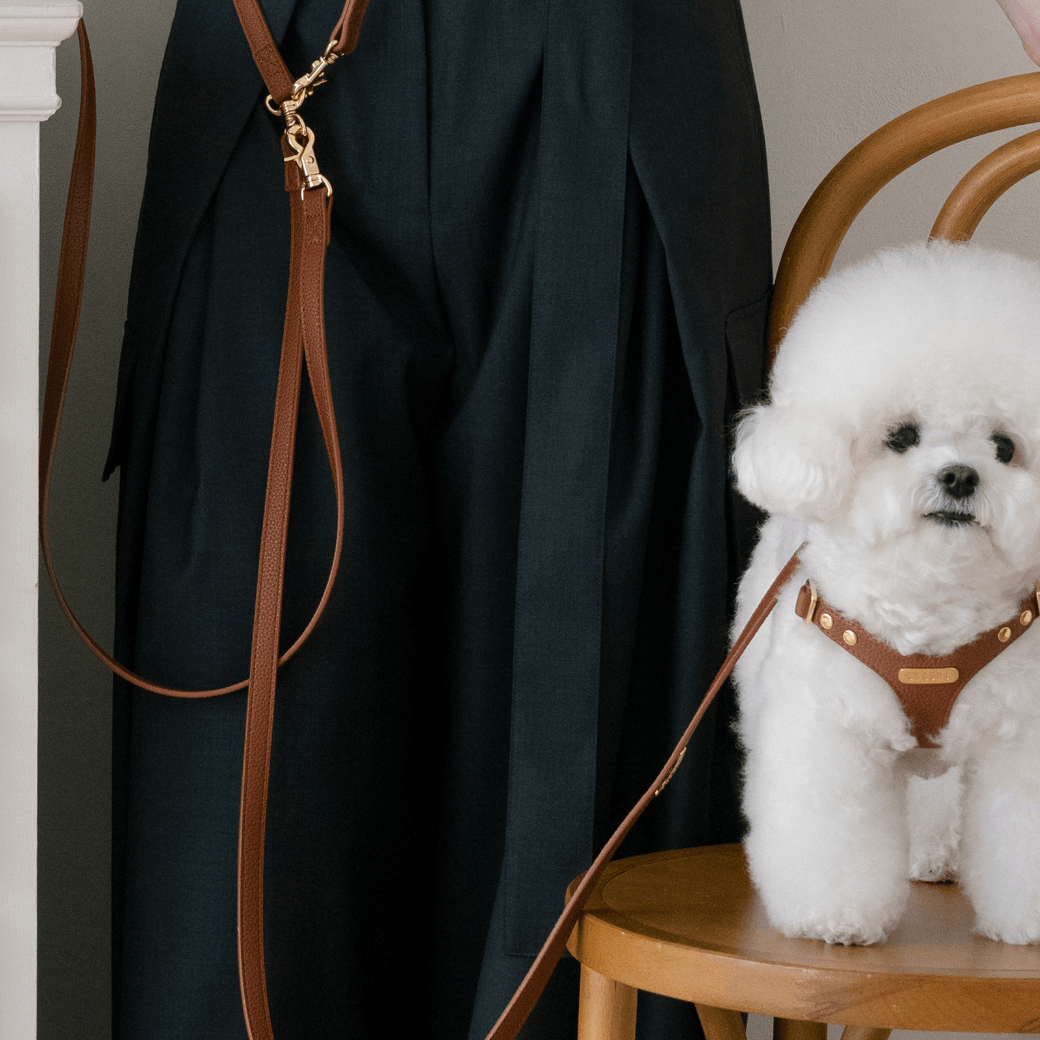 DELIGHT HANDS-FREE LEASH(キャメル)