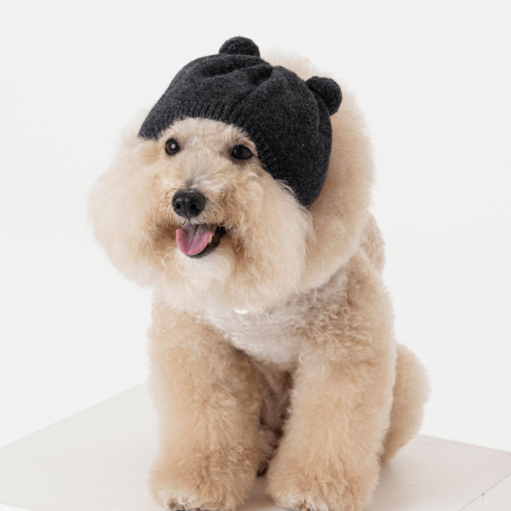 WOOL PUPPY PUPPY BEANIE(GREY)