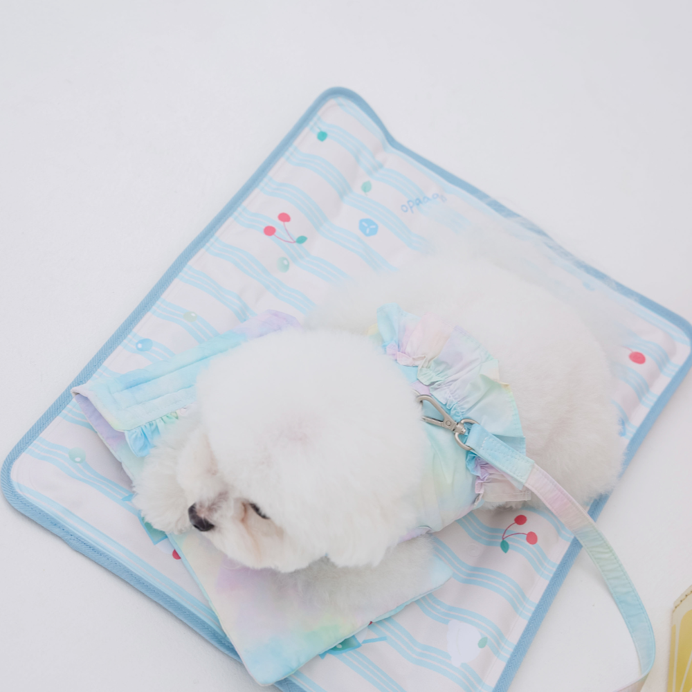【5/12配送】Ice Water Harness(Aqua Breeze)