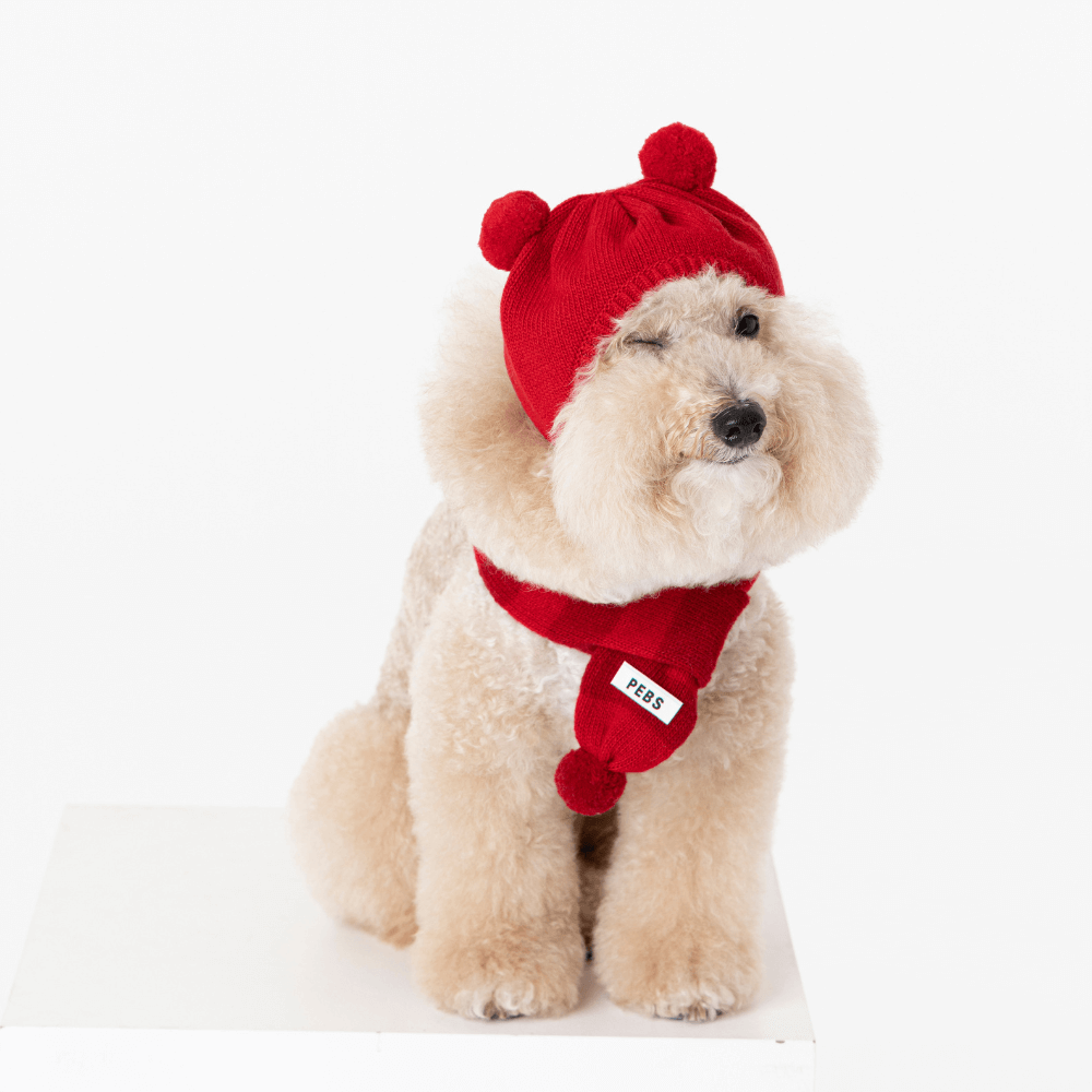 WOOL PUPPY PUPPY BEANIE(RED)