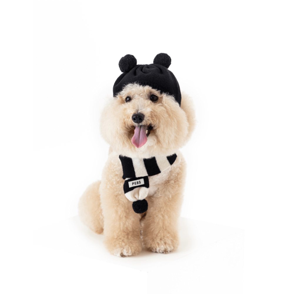 WOOL PUPPY PUPPY BEANIE(BLACK)