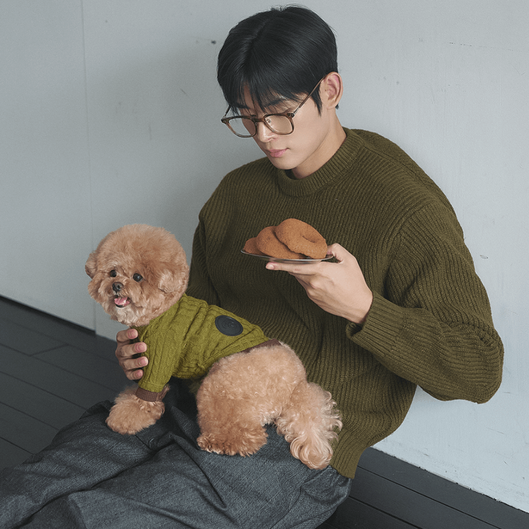 Soft Cable Pullover (2color)