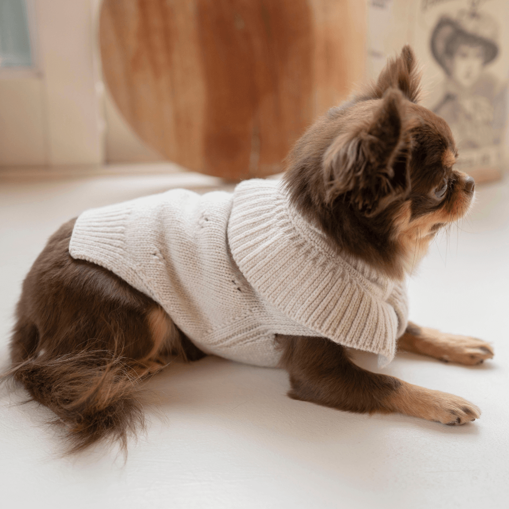 Frill Knit(Mocha)
