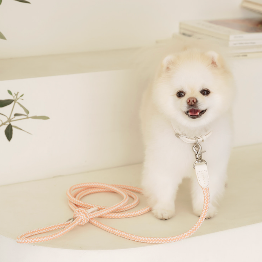 Rope Leash (Coral)