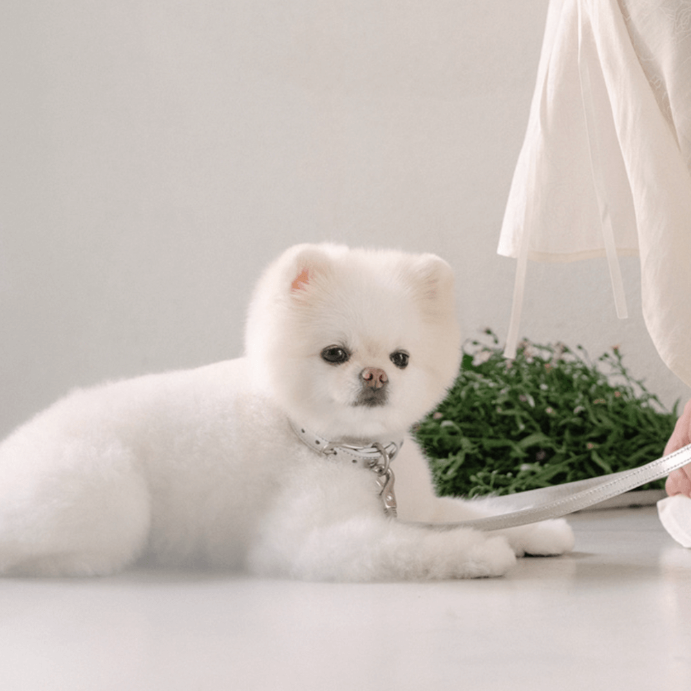 Lumiere Leash (Silver)