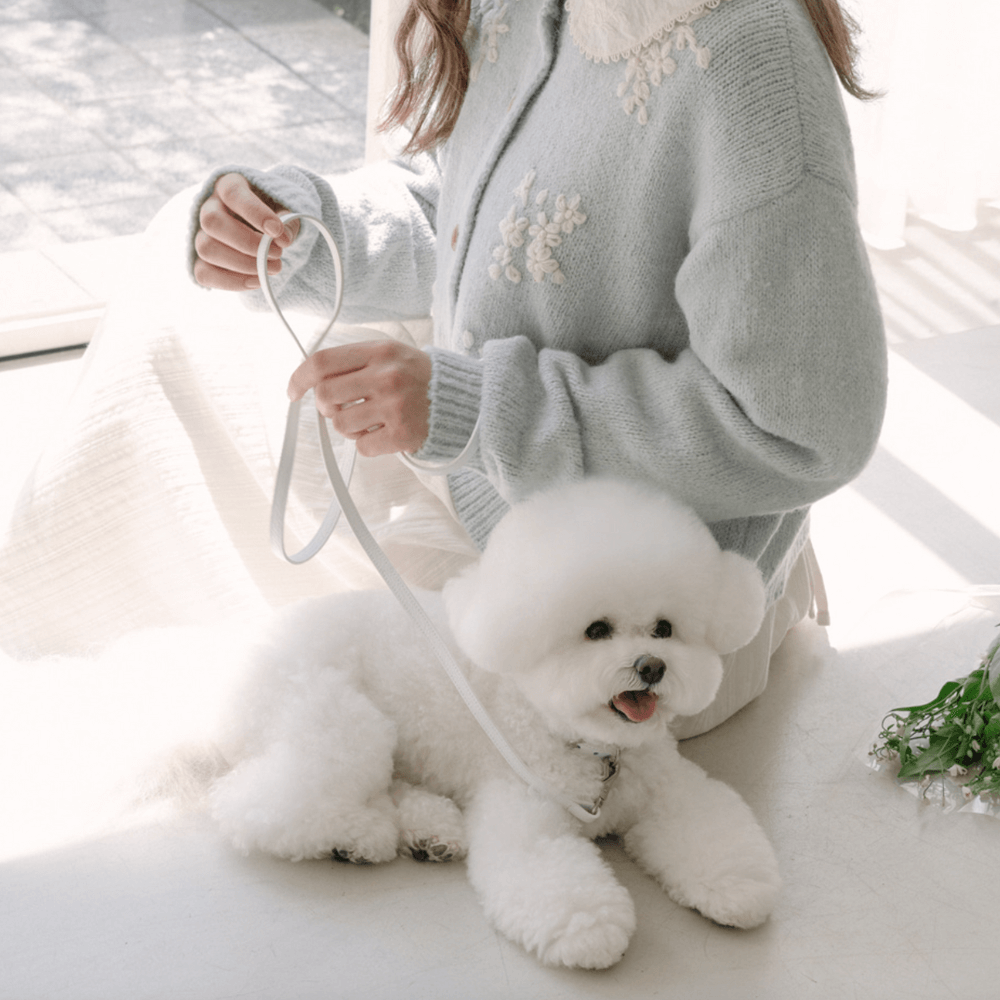 Lumiere Leash(White)