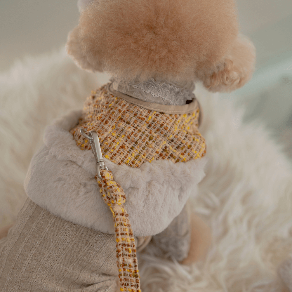 COCO Holiday Tweed Leash
