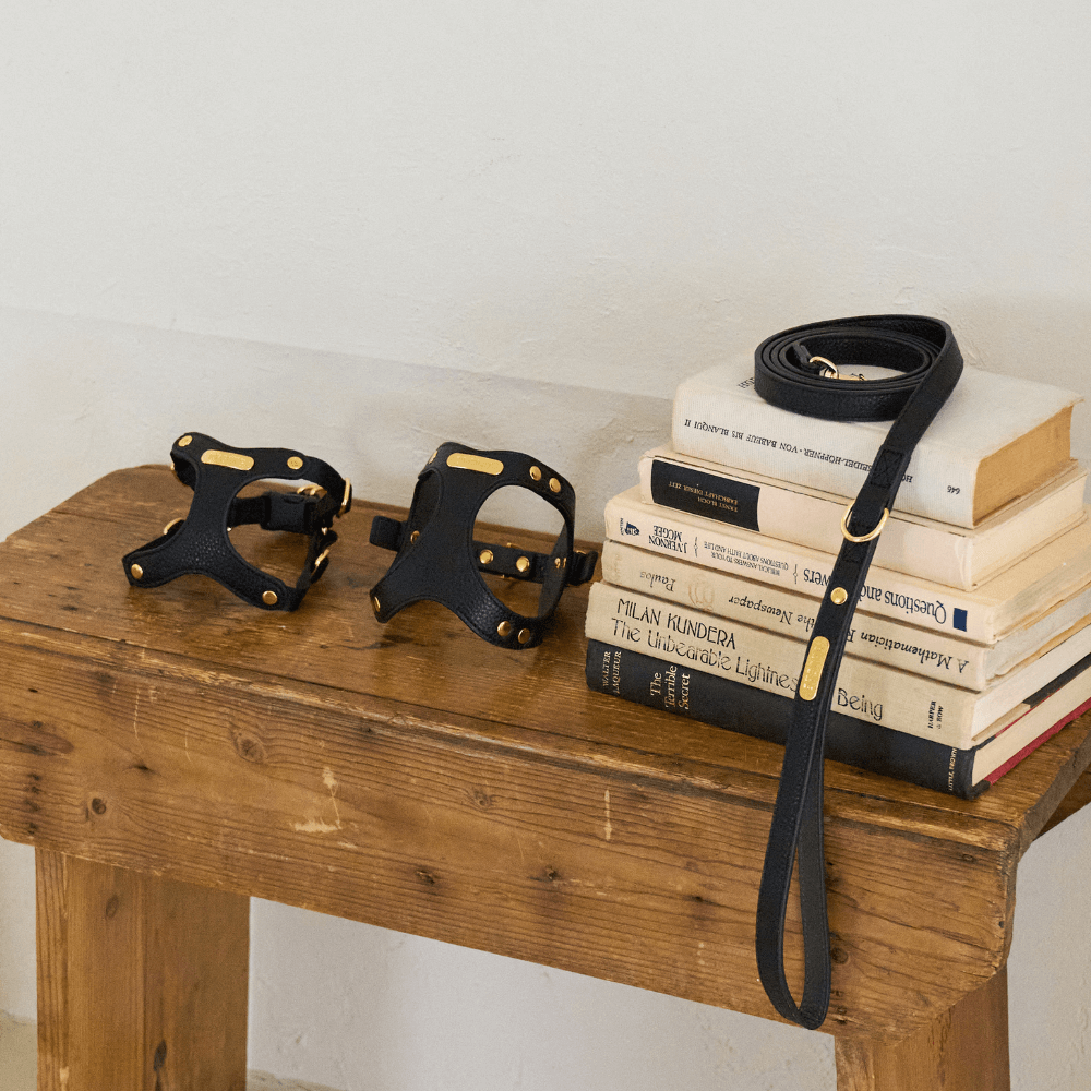 DELIGHT HARNESS バックルver(ブラック)