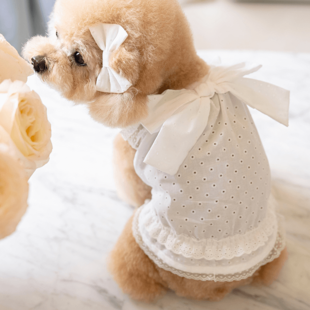 Malibu Dress(White Dot)