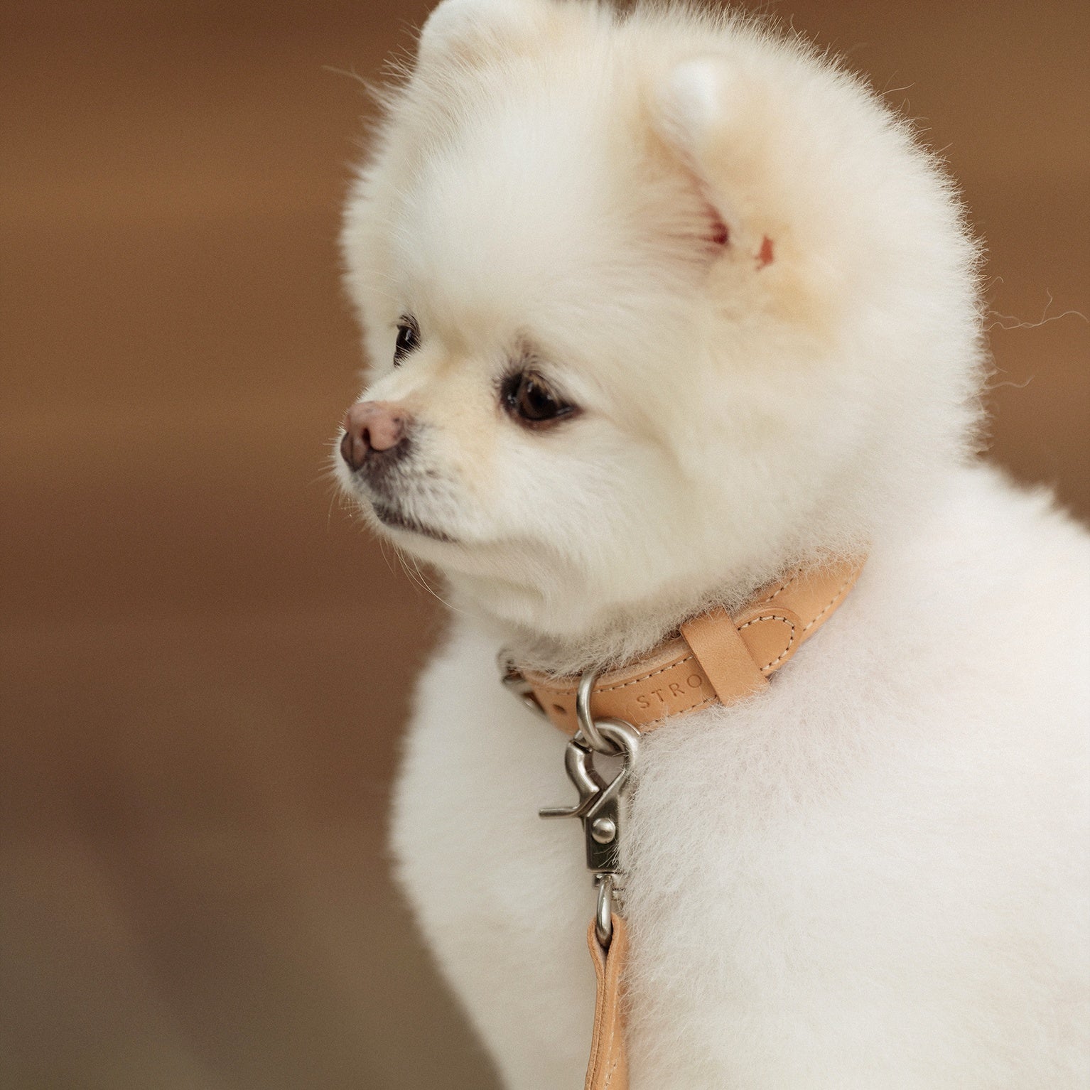 Leather Collar(全6色)