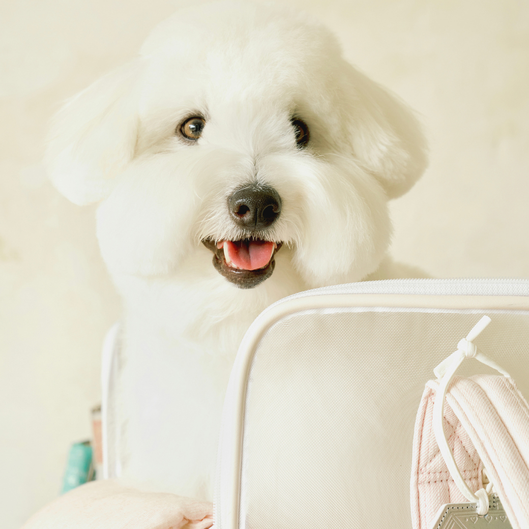 Mesh Ballon Bag (Ivory & Pink)