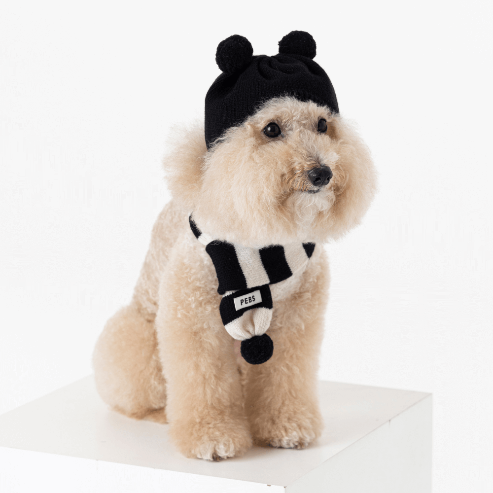 WOOL PUPPY PUPPY BEANIE(BLACK)