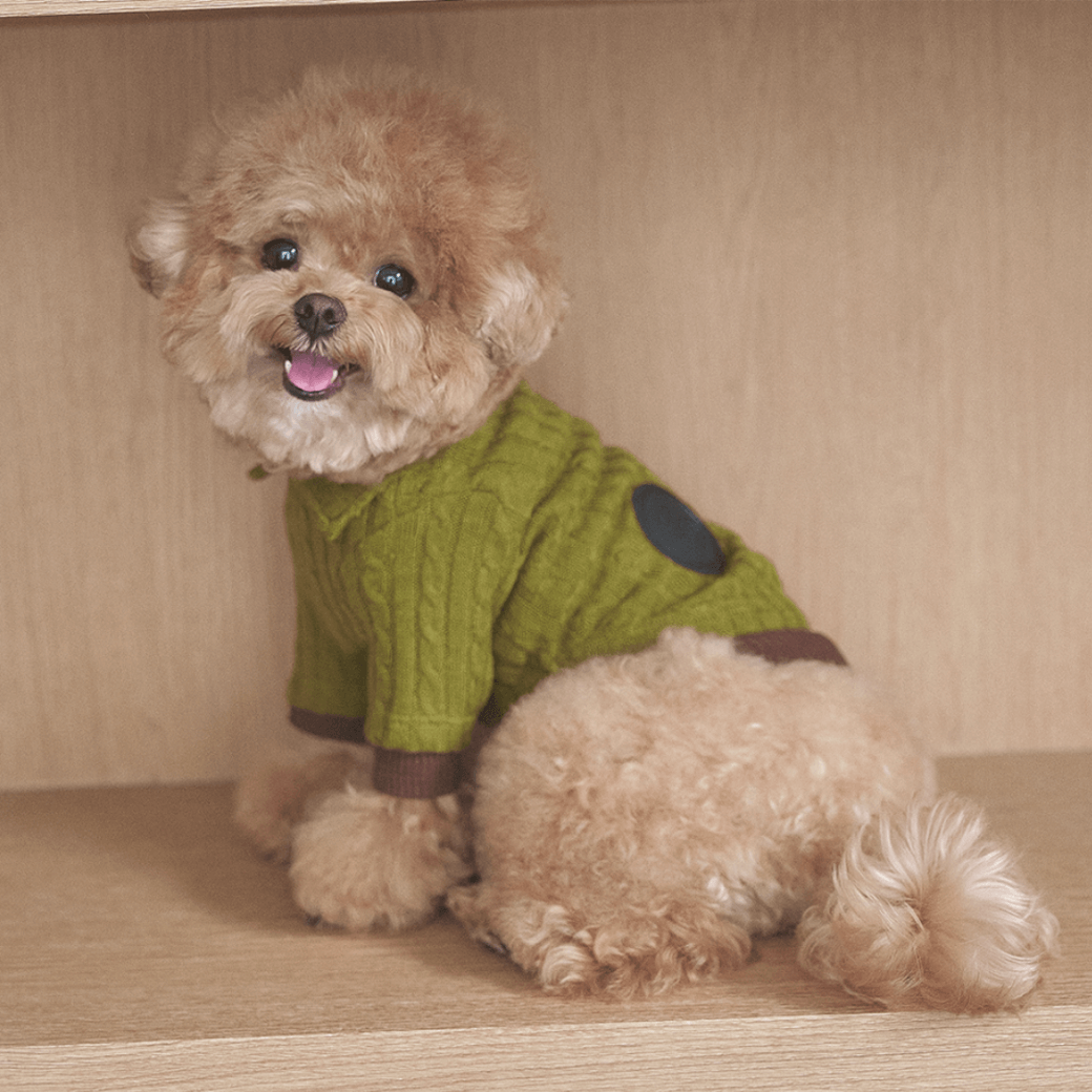 Soft Cable Pullover (2color)