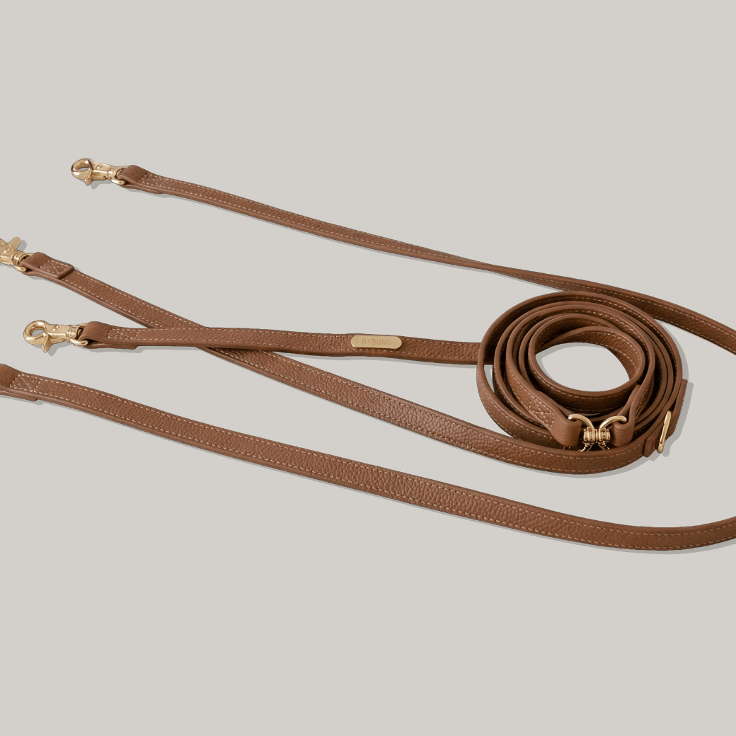 DELIGHT HANDS-FREE SECOND LEASH(4color)