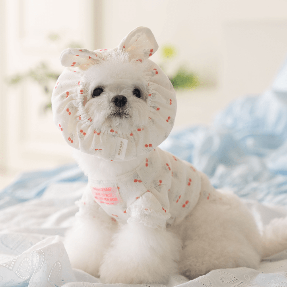 【4/3〜配送】Berry Sweet Snood (Cherry)