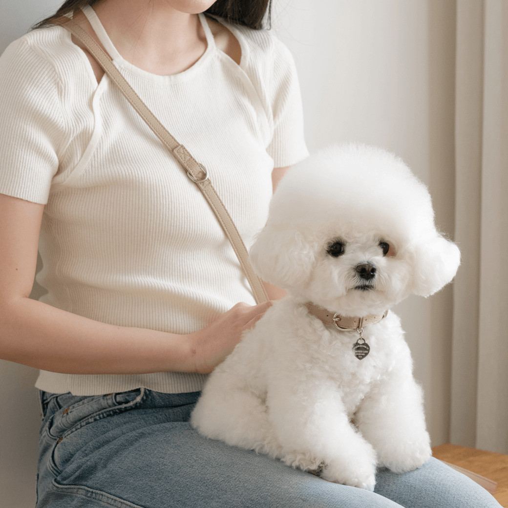 DELIGHT HANDS-FREE LEASH(ベージュ)
