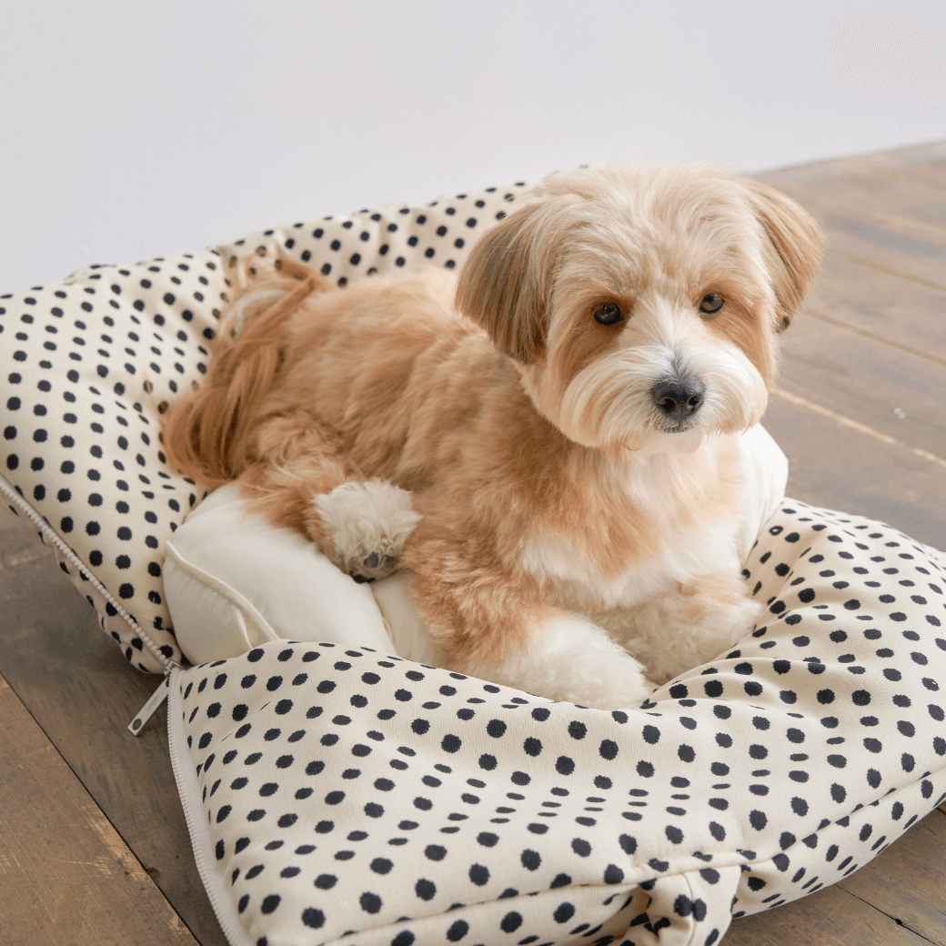 APERTY wide bag dot ivory