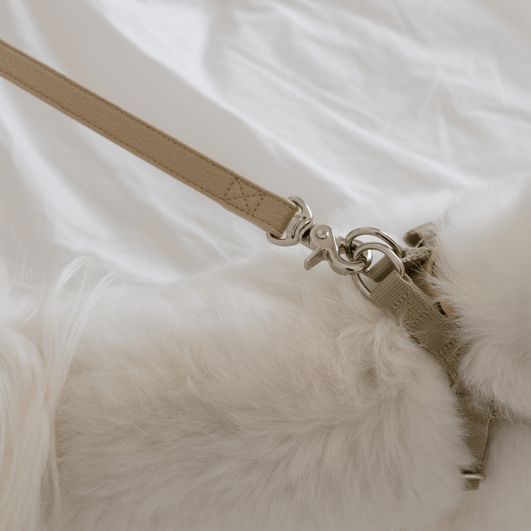 DELIGHT HANDS-FREE LEASH(ベージュ)