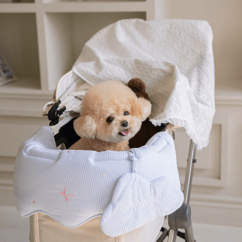 Lace Buggy Blanket (Ribbon / Cracker)