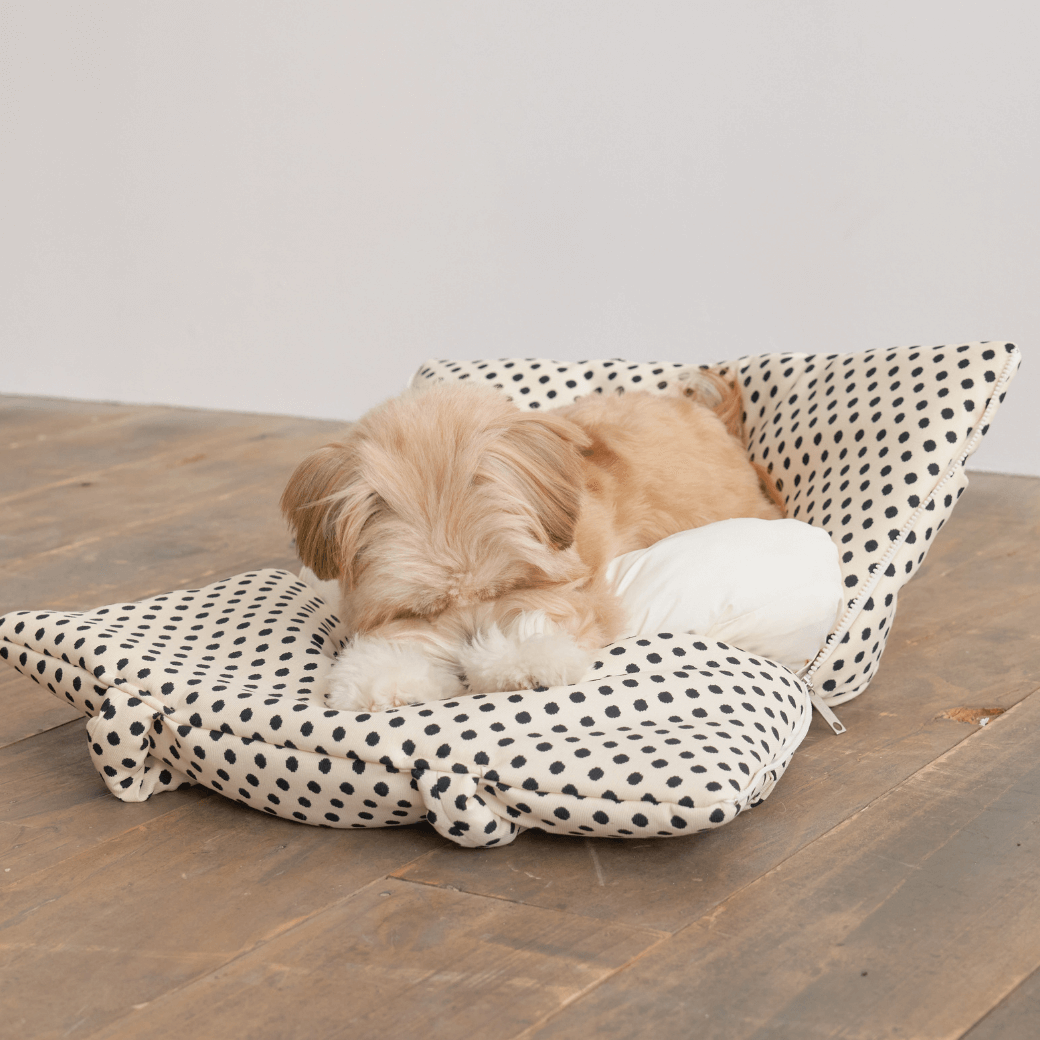 APERTY wide bag dot ivory