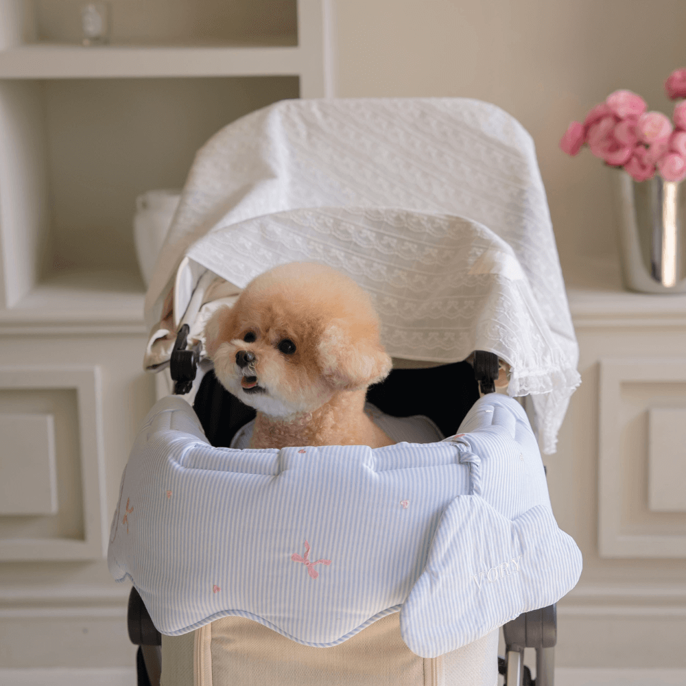 Lace Buggy Blanket (Ribbon / Cracker)