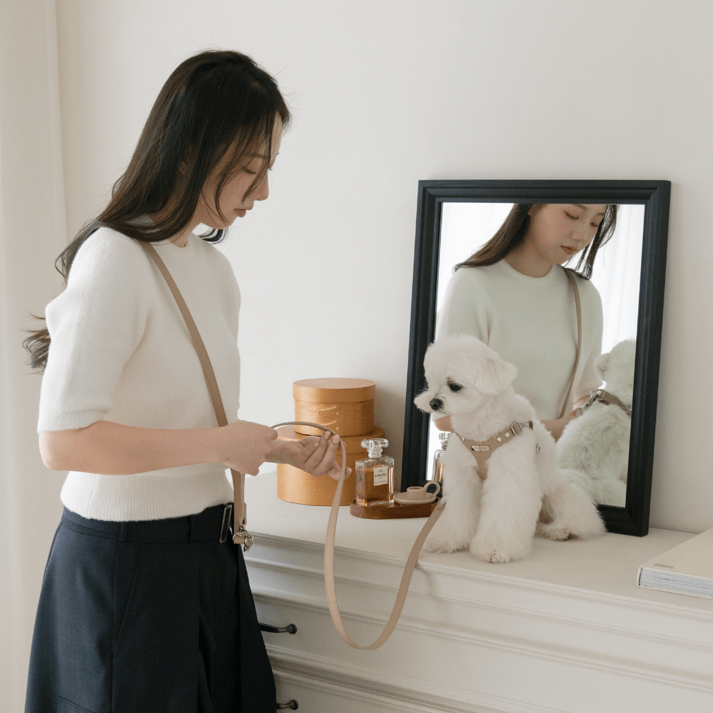 DELIGHT HANDS-FREE LEASH(ベージュ)