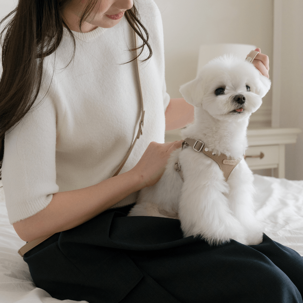 DELIGHT HANDS-FREE LEASH(ベージュ)