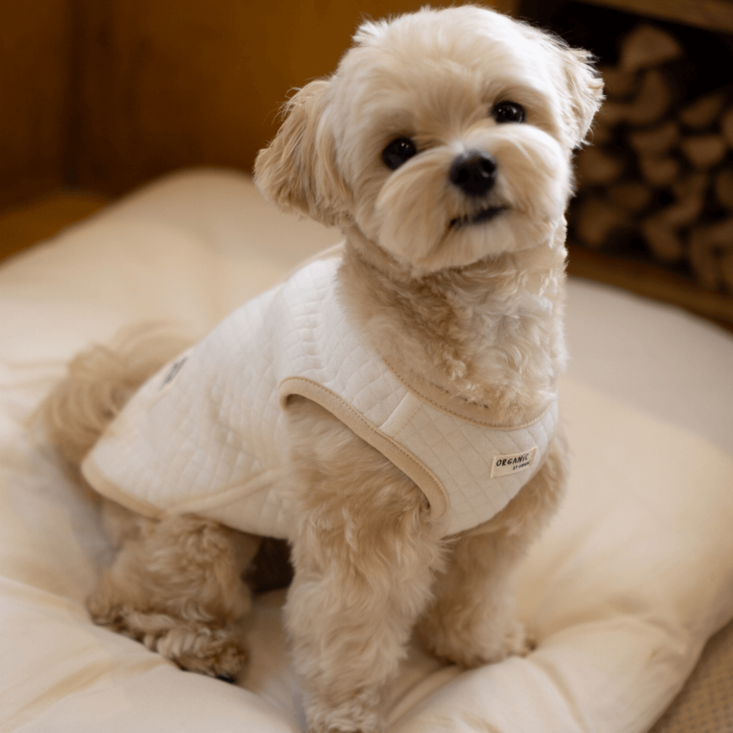 ORGANIC QUILTED VEST(ネーム刺繍可)