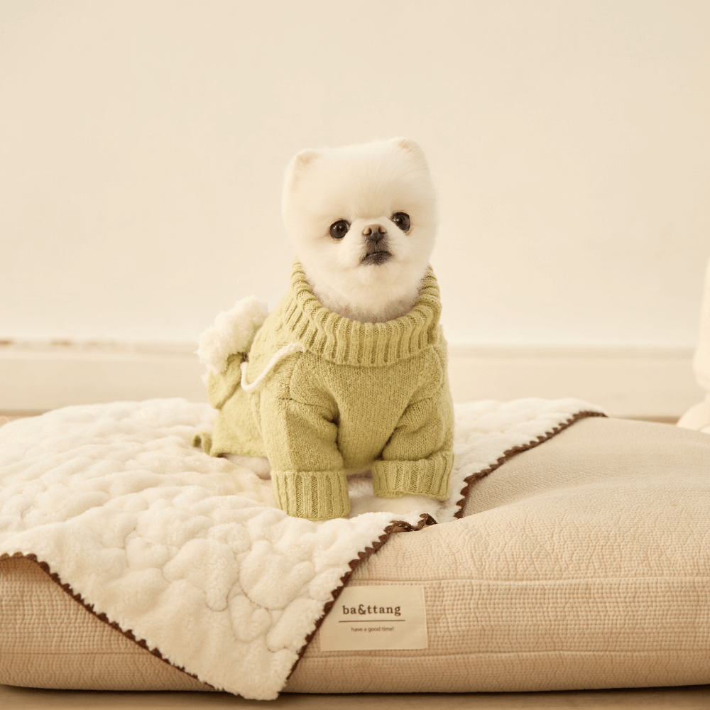 ポケットトイニットプルオーバー(オリーブ)