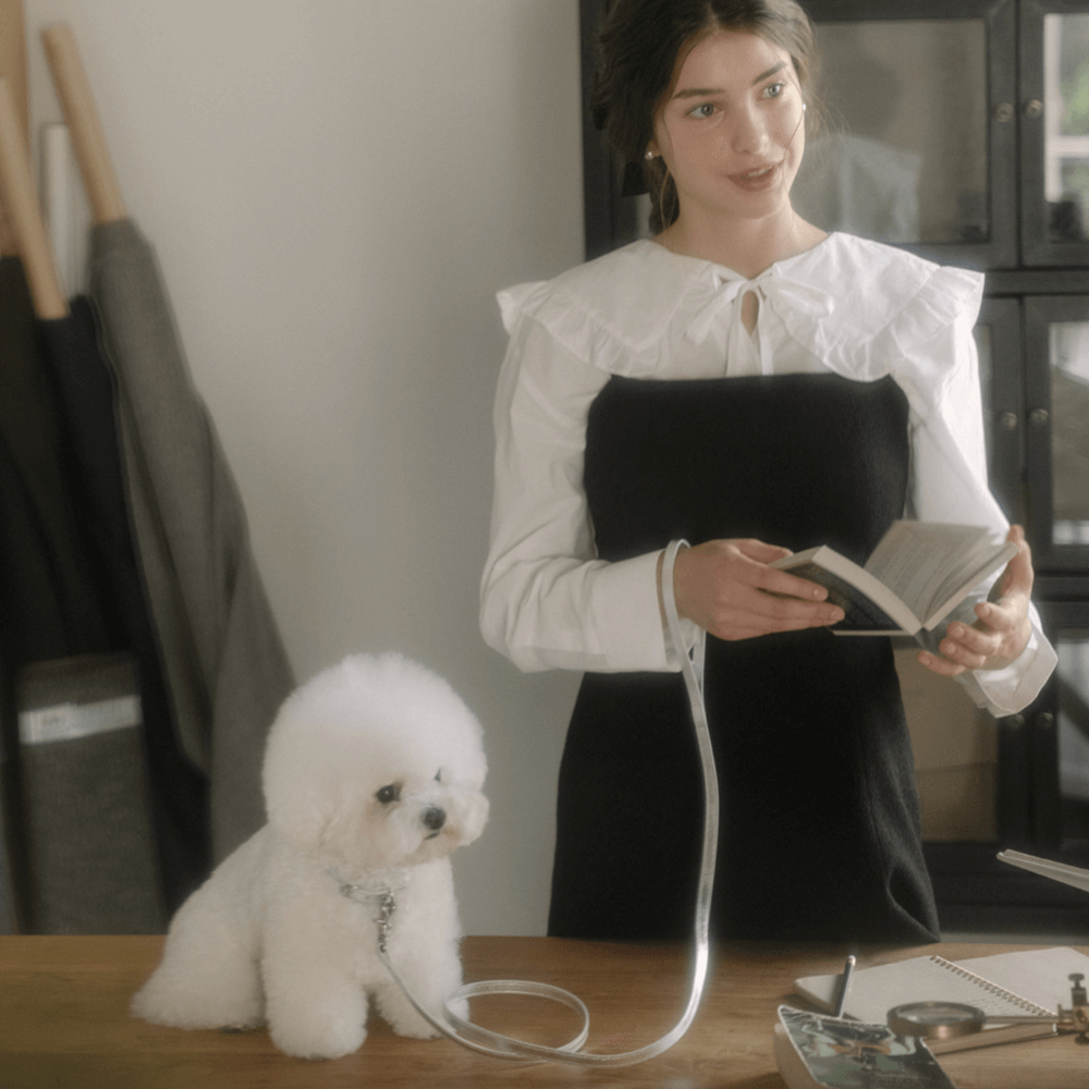 Lumiere Leash (Silver)