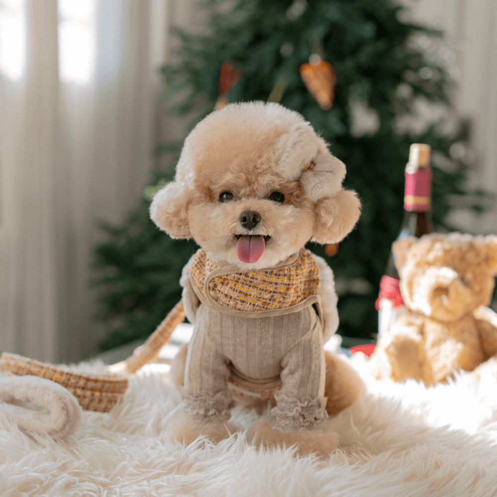 COCO Holiday Tweed Harness（Mustard Brown）