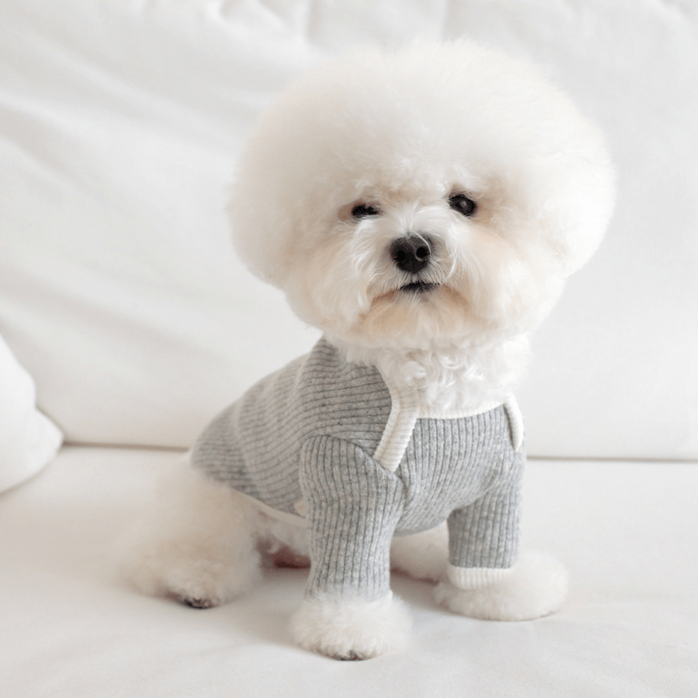 palette wool knit top (light mellange)