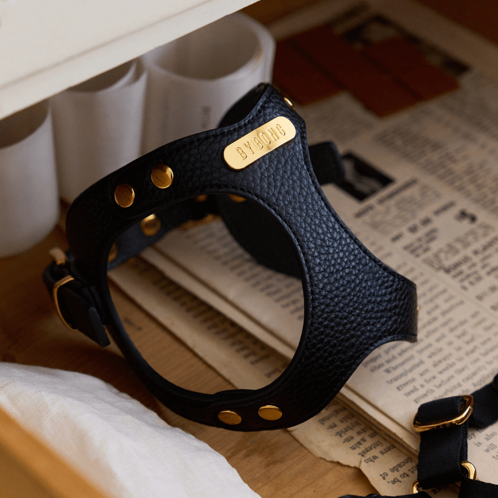 DELIGHT HARNESS(ブラック)