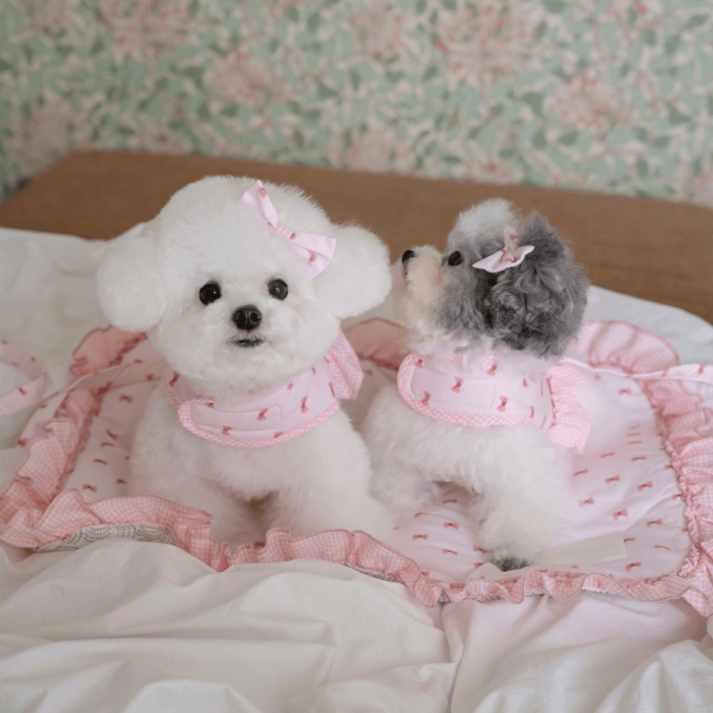 XOXO Candy Leash(Pink)