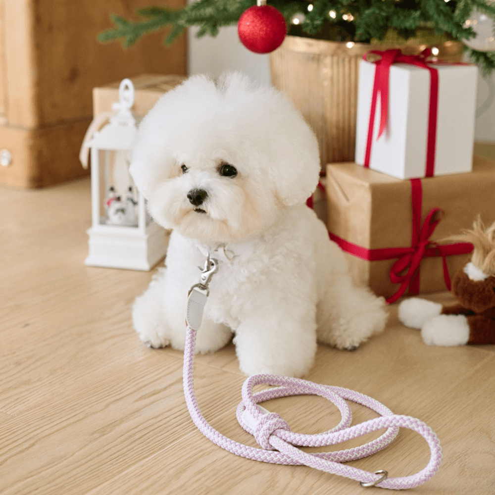 Classic Leash 1.8m 手持ちリード(ライラック)