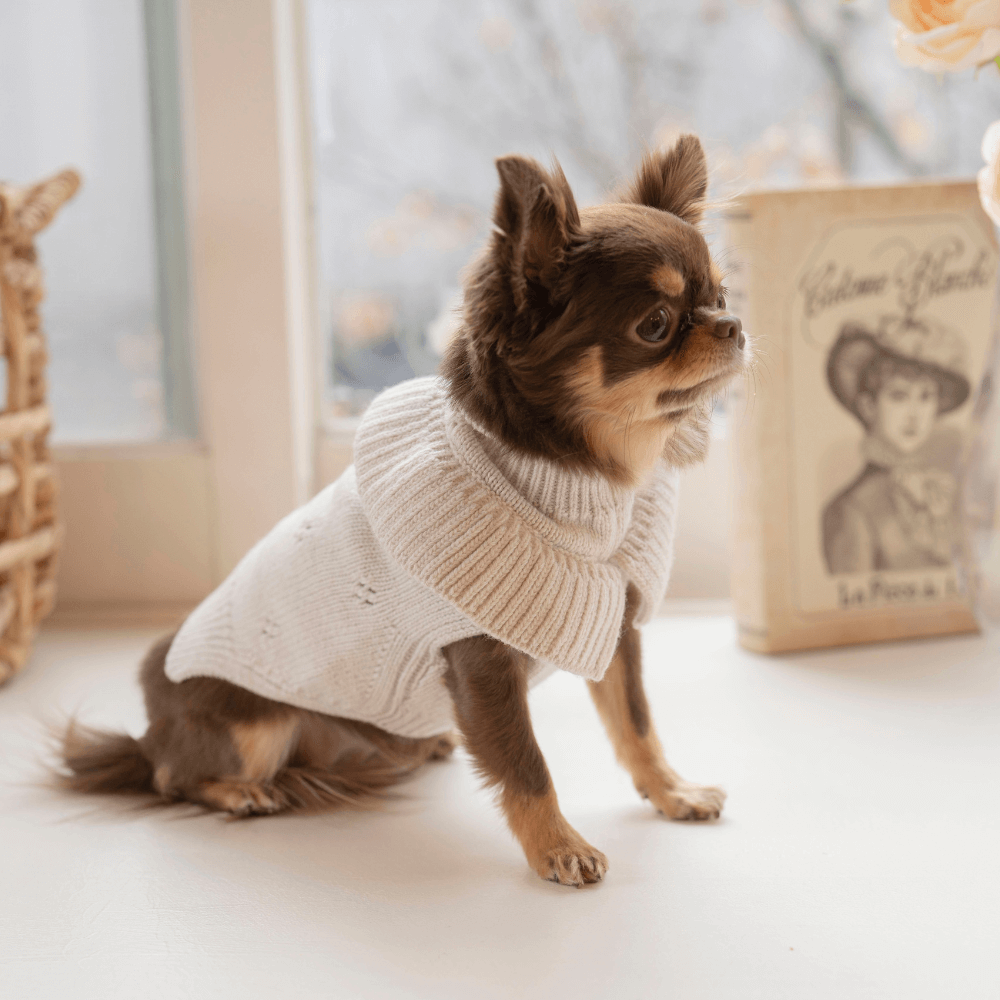 Frill Knit(Mocha)