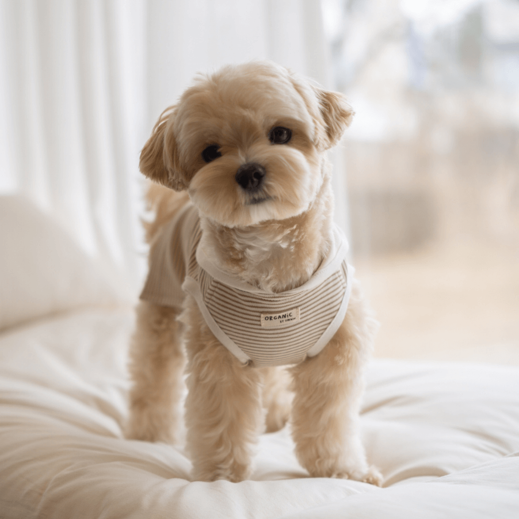 【予約】ORGANIC SAILOR SLEEVLESS(ネーム刺繍可 / 2COLOR)