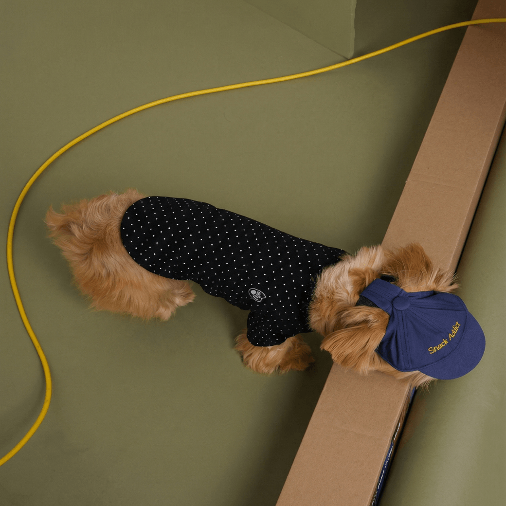 DOT‥TEE (FOR DOGS)