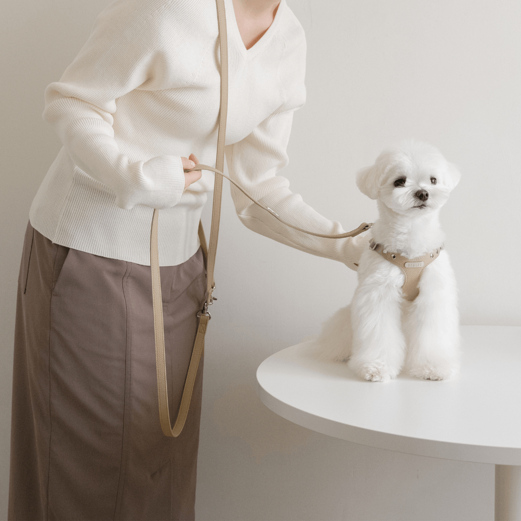 DELIGHT HANDS-FREE LEASH(ベージュ)