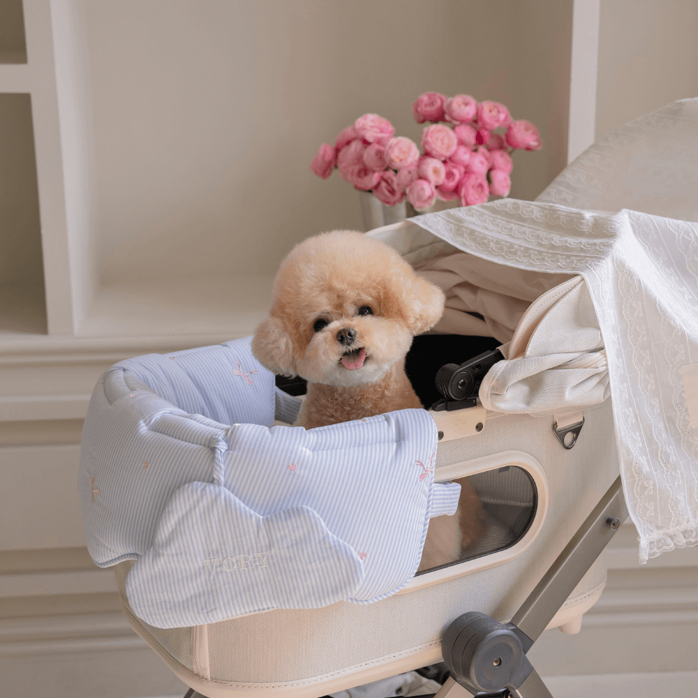 Lace Buggy Blanket (Ribbon / Cracker)