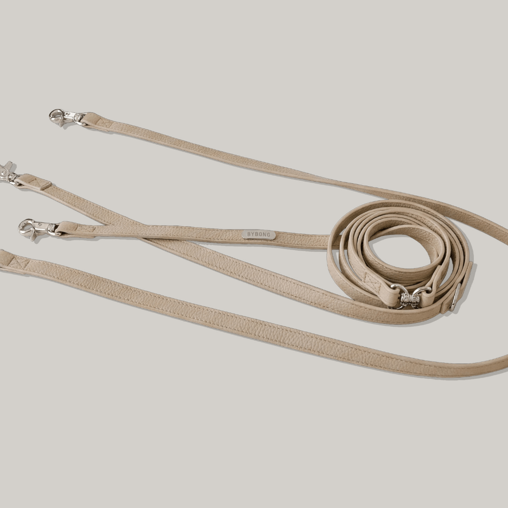 DELIGHT HANDS-FREE SECOND LEASH(4color)