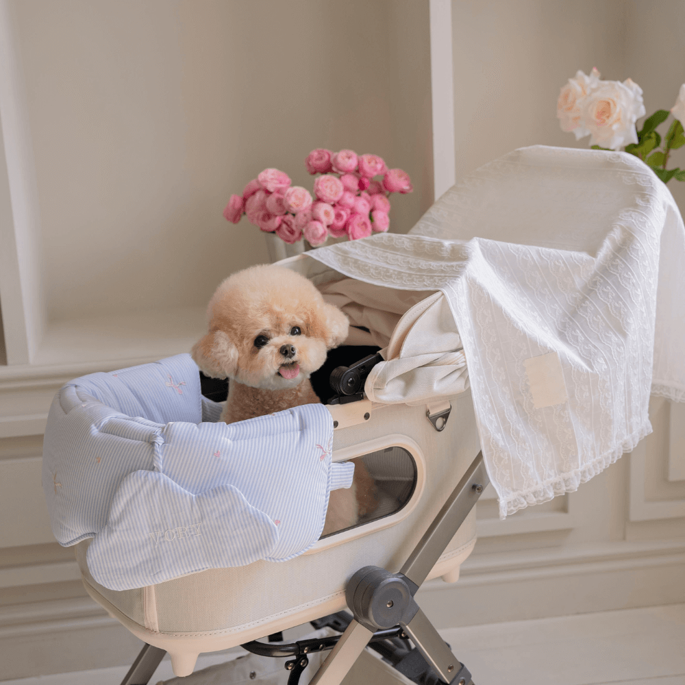 Lace Buggy Blanket (Ribbon / Cracker)