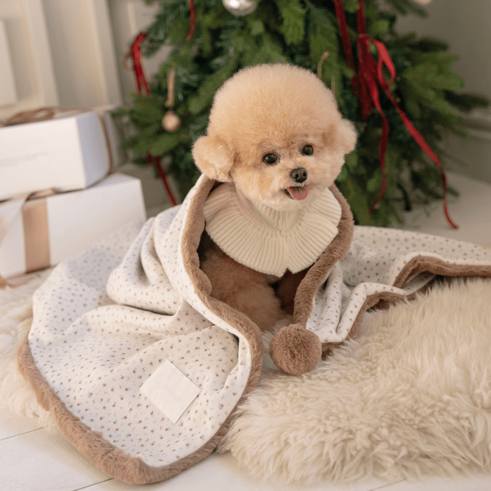 Winter Snuggle Blanket (2color)