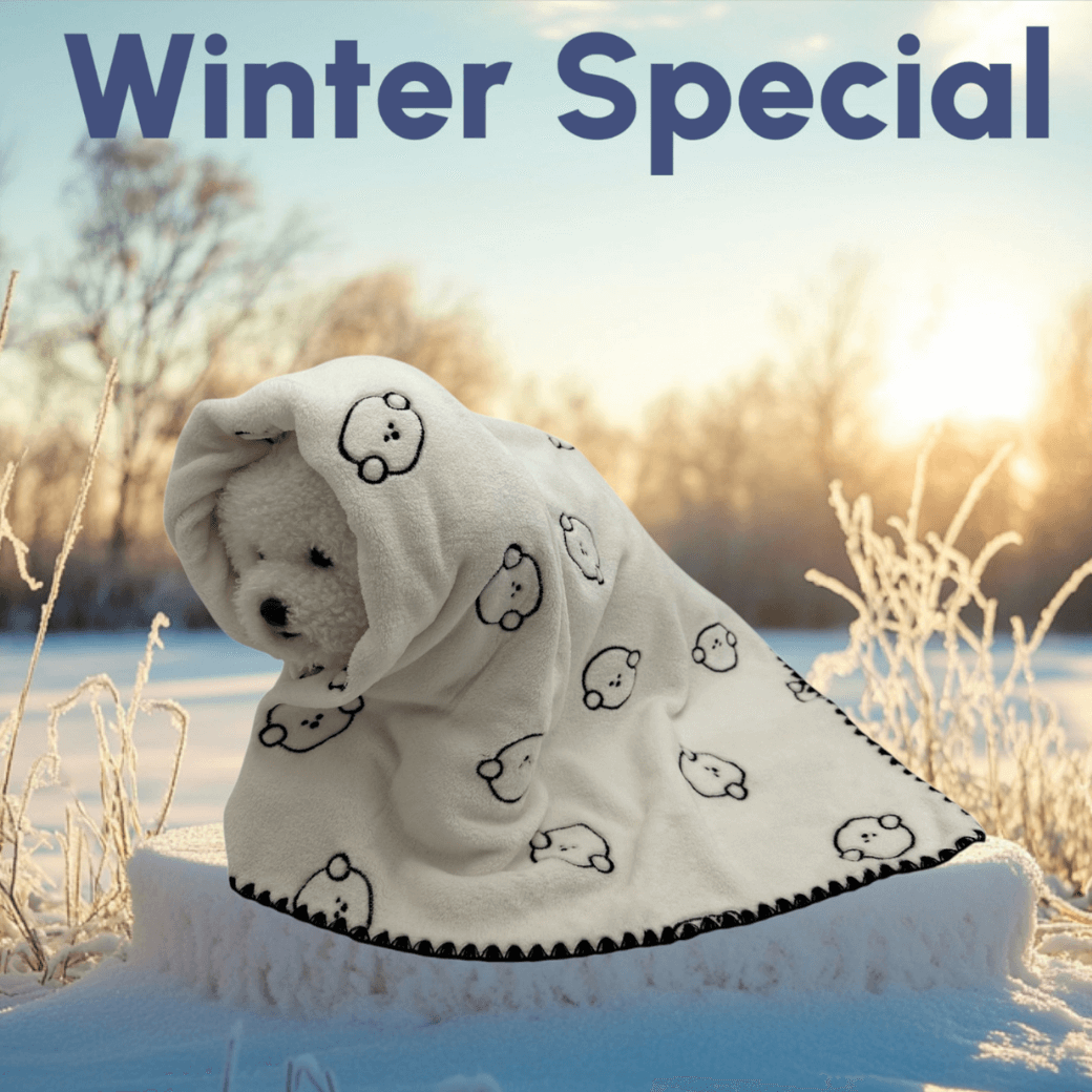 DDASUN DAMYO BLANKET