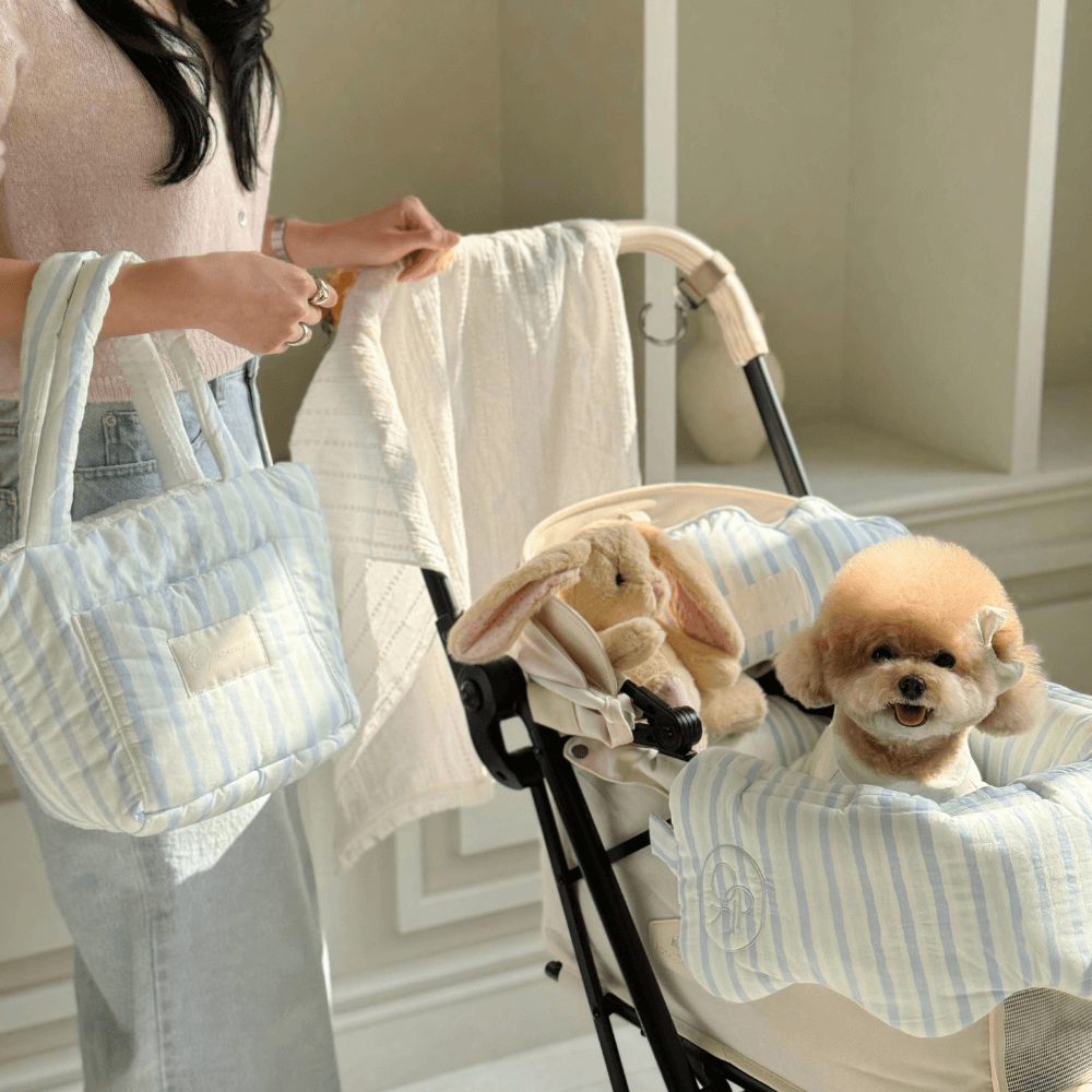 Fluffy Reversible Buggy Walk Bag (Candy Stripe / Poppy Flower)