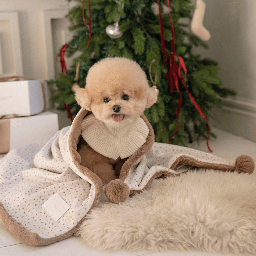 Winter Snuggle Blanket (2color)