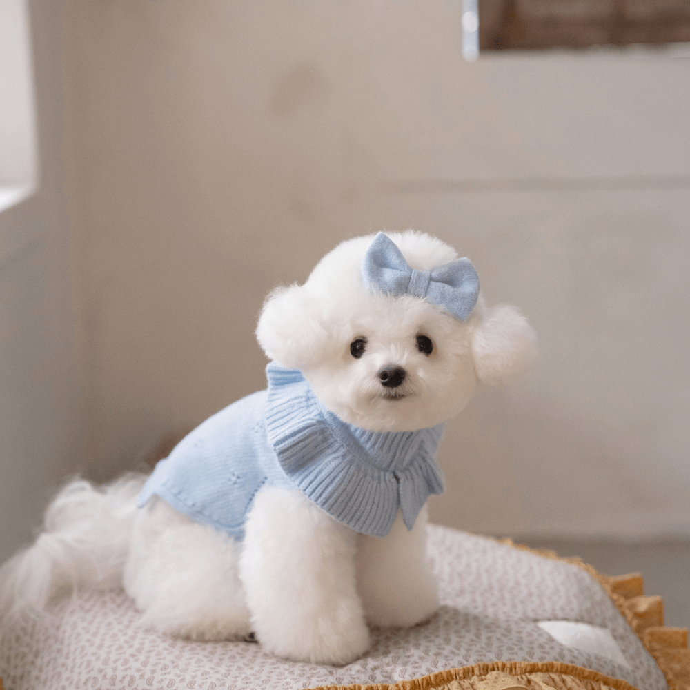 Frill Knit(Ciel Blue)