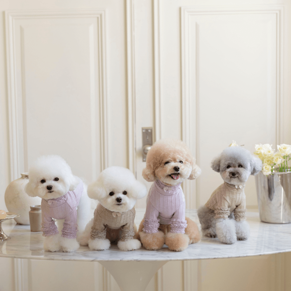 7th Limited Edition Lace Turtleneck(Latte)